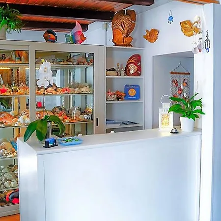 Bed and Breakfast Zimmer